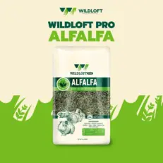 Wildloft PRO Premium Natural Alfalfa - อัลฟาฟ่าร่อนฝุ่นนำเข้า 1kg