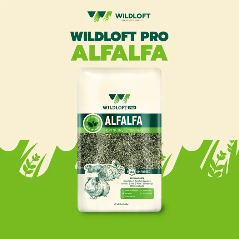 Wildloft PRO Premium Natural Alfalfa - อัลฟาฟ่าร่อนฝุ่นนำเข้า 1kg