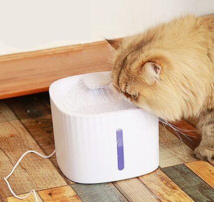Boqi Factory Cat Fountain - น้ำพุแมวพร้อมระบบตัดไฟอัตโนมัติและไส้กรอง 3L (15872)