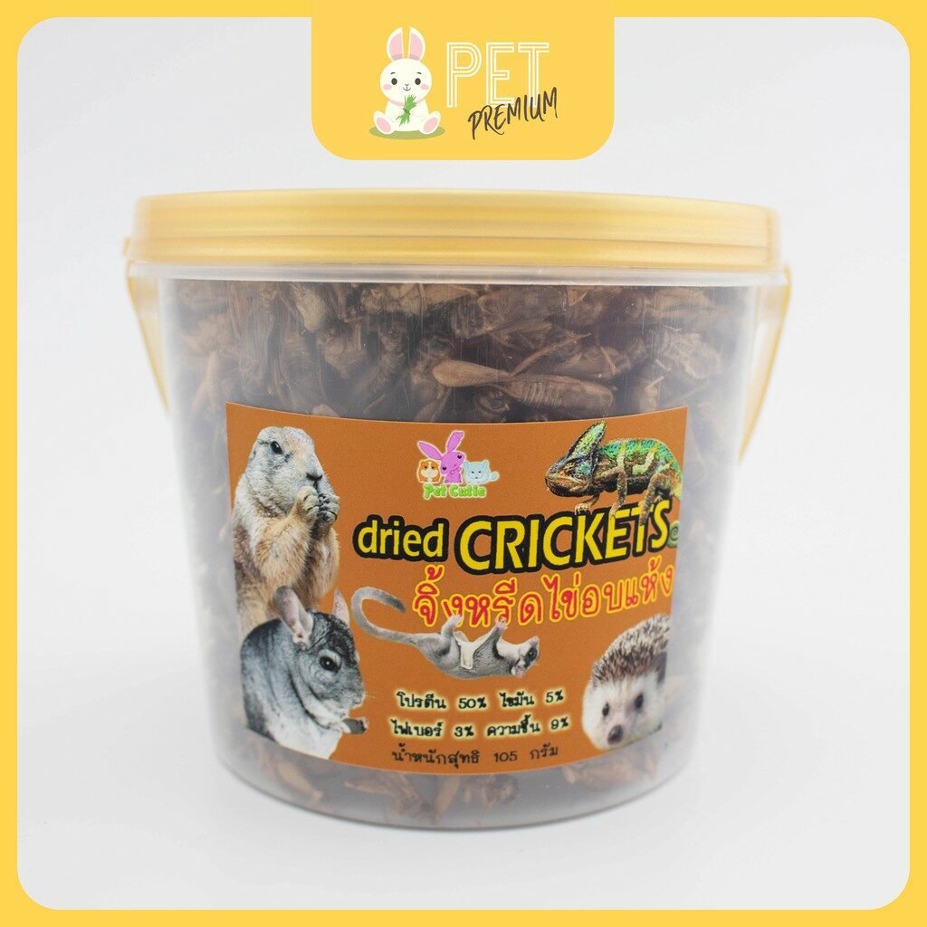 พบคำแนะนำในการเลือกกรงนกที่สมบูรณ์แบบ 8 Pupae Dried Crickets - จิ้งหรีดไข่อบแห้ง 90g (15569)