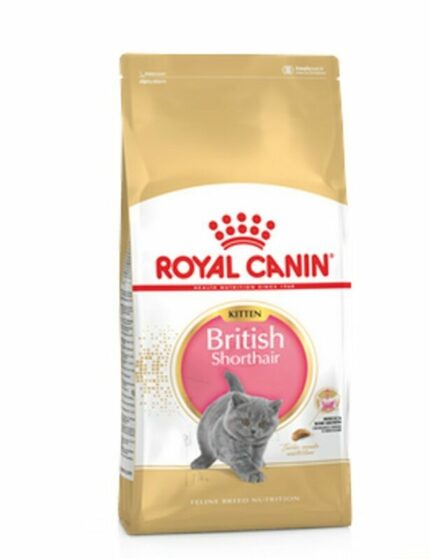 Royal Canin Kitten British Shorthair - อาหารสำหรับลูกแมวพันธุ์บริติช ชอร์ทแฮร์ 4-12 เดือน 400g (13838)