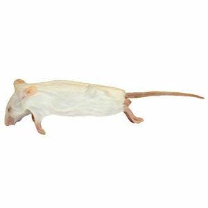 rat Frozen Mice - หนูไมส์แช่แข็ง XL (29-33g)(14386)