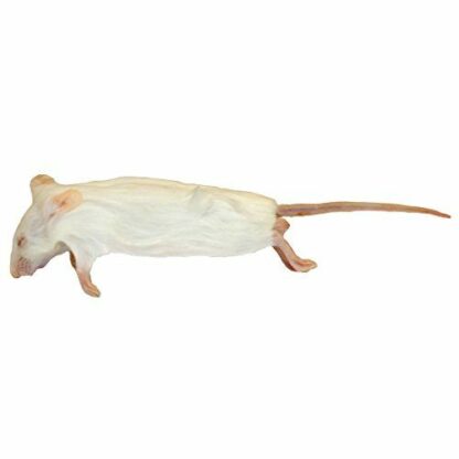Frozen Mice - หนูไมส์แช่แข็ง Xl (14386)