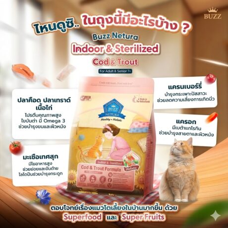 Buzz Netura Holistic Indoor & Sterilized, Cod & Trout Formula - บัซซ์ เนทูร่า อาหารแมวเลี้ยงในบ้านและแมวทำหมัน 1kg