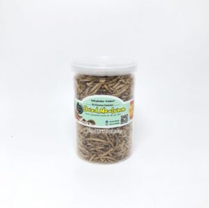 Dehydrated Dried Mealworms - หนอนนกอบแห้ง กระปุกใหญ่ 80g (18659)