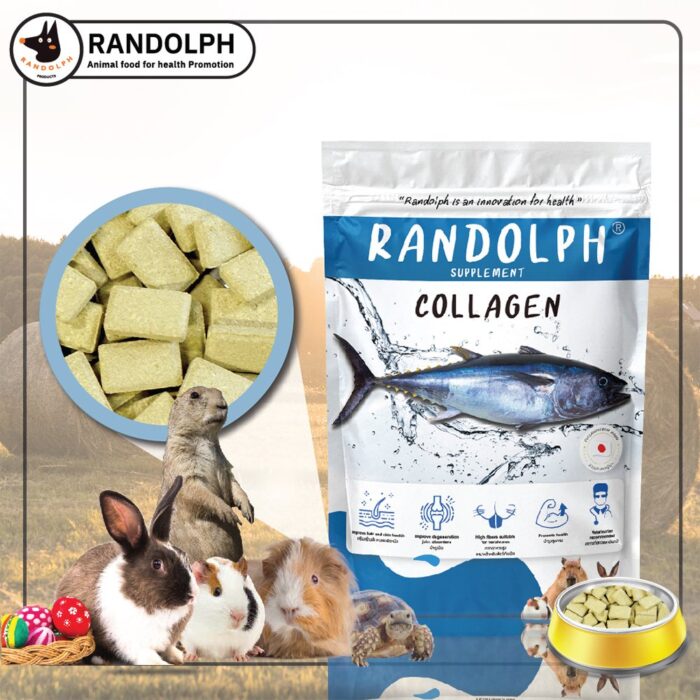 TreatCollagen Randolph Supplement Collagen - อาหารเสริม ขนมสมุนไพรเสริมคอลลาเจนสำหรับสัตว์กินพืช 70g (17687)