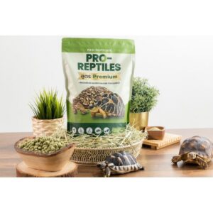 3ce26b7a39762168ae6470471a1722d9 PRO-REPTILES Premium Tortoise Food 1kg - อาหารสำหรับเต่าบก สูตรพรีเมี่ยม 1 กิโลกรัม (45074)