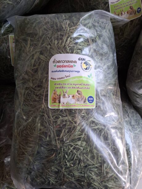 Cavalcade Bean Grass - หญ้าถั่วคาวาลเคด 200g (32742)