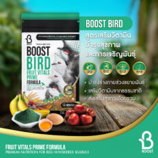 Boost Bird Fruit Vitals Prime Formula M - อาหารนกสูตรเสริมวิตามิน บำรุงสุขภาพ ขนาดเม็ด 4-5mm 100g (36269)