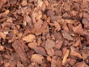 Powny New Zealand Pine Bark Powny New Zealand Pine Bark
