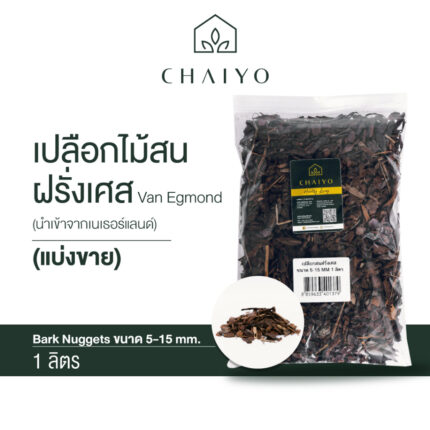 chaiyo 3