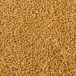 Yellow Millet 25kg - มิลเล็ตเหลือง 25กก. (33175)