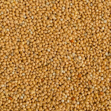 Yellow Millet 25kg - มิลเล็ตเหลือง 25กก. (33175)