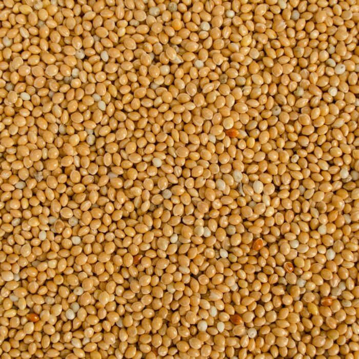 U.LEK Yellow Millet - มิลเล็ตเหลือง 5kg (แบ่งขาย)(10189)
