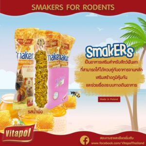 Vitapol Smakers Weekend Style Honey ZVP-3115 - ขนมธัญพืชอัดแท่งสำหรับสัตว์ฟันแทะรสน้ำผึ้ง 45 กรัม (46359)