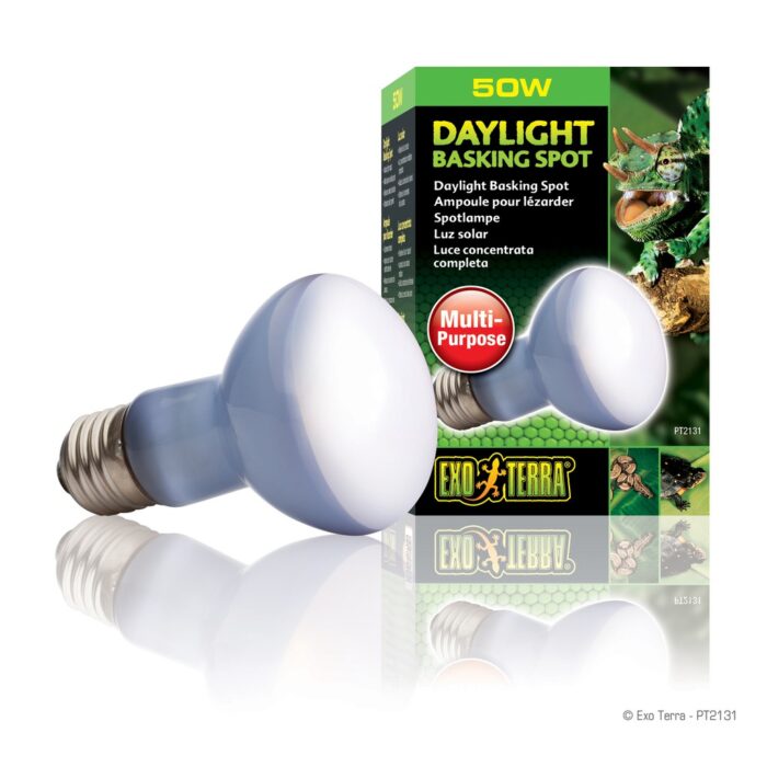 Exo Terra Daylight Basking Spot - หลอดไฟแสงสว่างและความร้อน 50w (53216)