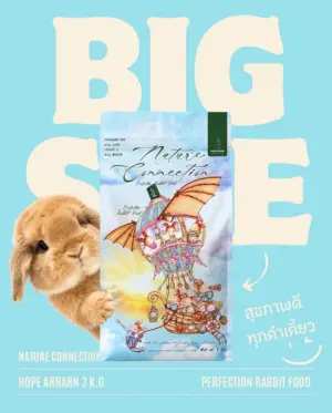 MA YL Nature Connection Perfection Rabbit Food_11zon MA YL Nature Connection Perfection Rabbit Food