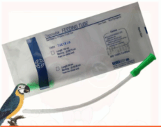 TBD B.M.I. Disposable Feeding Tube - สายป้อนอาหารสำหรับสัตว์เลี้ยง (14x18cm) (54887)