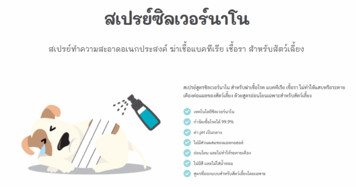 นาโน Nano Power Silver Spray - สเปรย์นาโนฆ่าเชื้อแบคทีเรีย 100Ml (050209)