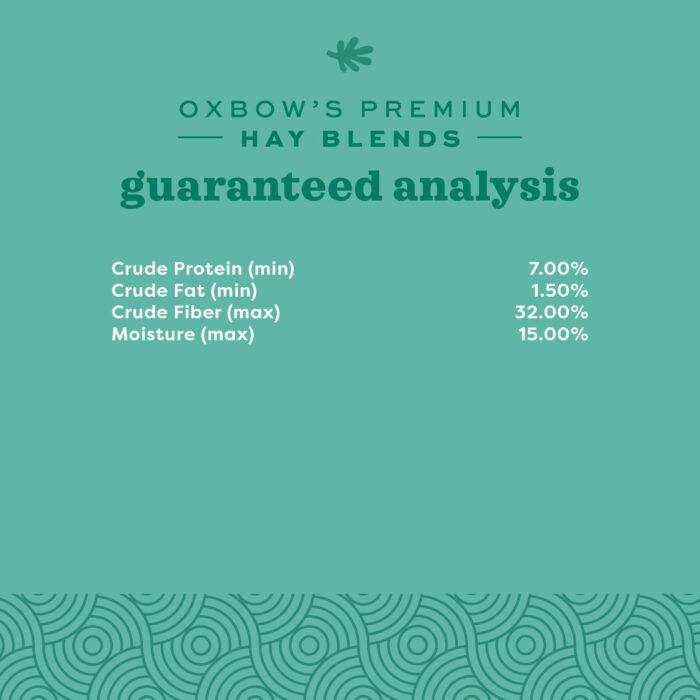 11. Hay Blends 0-1 Oxbow Hay Blend Timothy + Orchard Hay - หญ้าทิโมธีผสมหญ้าออร์ชาร์ด 15oz (58699) (12)
