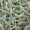 11. Hay Blends 0 Oxbow Hay Blend Timothy + Orchard Hay - หญ้าทิโมธีผสมหญ้าออร์ชาร์ด 15oz (58699) (12)
