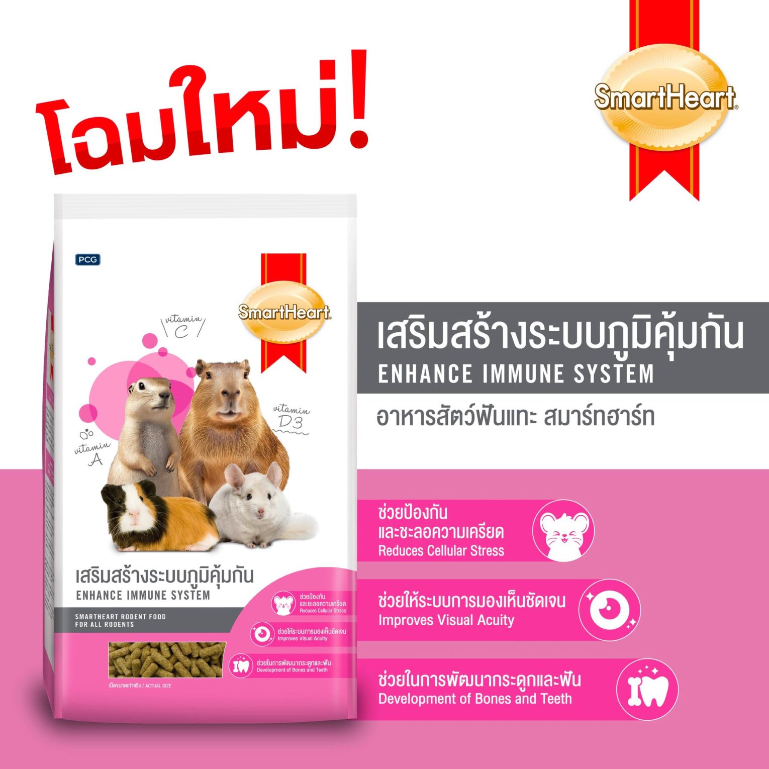 พบคำแนะนำในการเลือกกรงนกที่สมบูรณ์แบบ 7 Smartheart Enhance Immune System - อาหารสัตว์ฟันแทะ หนูตะเภา หนูแกสบี้และชินชิลล่า สูตรเสริมสร้างภูมิคุ้มกัน 1kg