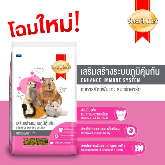 อาหารสัตว์ฟันแทะ 61286 Smartheart Enhance Immune System - อาหารสัตว์ฟันแทะ หนูตะเภา หนูแกสบี้และชินชิลล่า สูตรเสริมสร้างภูมิคุ้มกัน 1kg