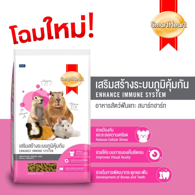 Smartheart Enhance Immune System - อาหารสัตว์ฟันแทะ หนูตะเภา หนูแกสบี้และชินชิลล่า สูตรเสริมสร้างภูมิคุ้มกัน 1kg