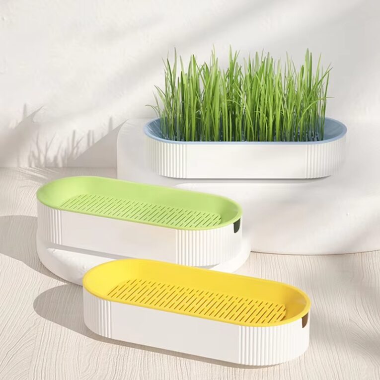 Organic Wheatgrass Set