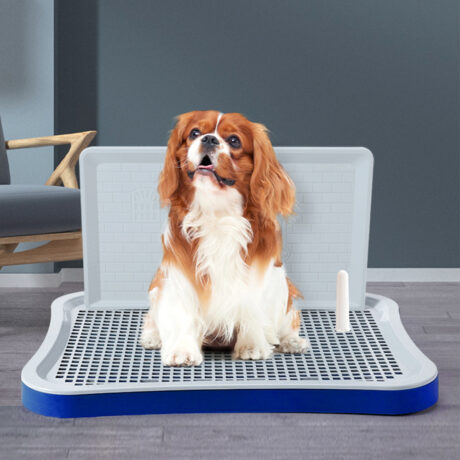 PETCHO Dog Training Toilet Tray - ถาดฝึกเข้าห้องน้ำสำหรับสุนัข (40x51x3.5cm) (65249)