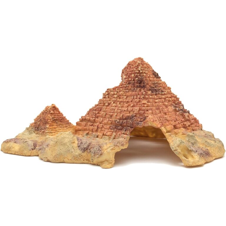 REPTILE CAVE1