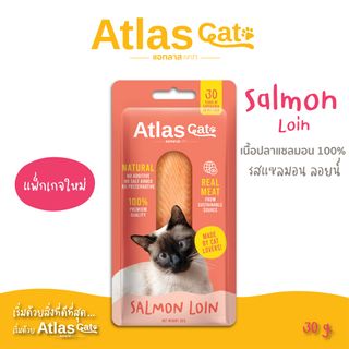 Atlas Cat