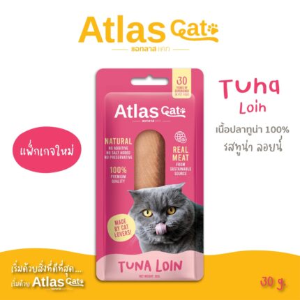 Atlas Cat