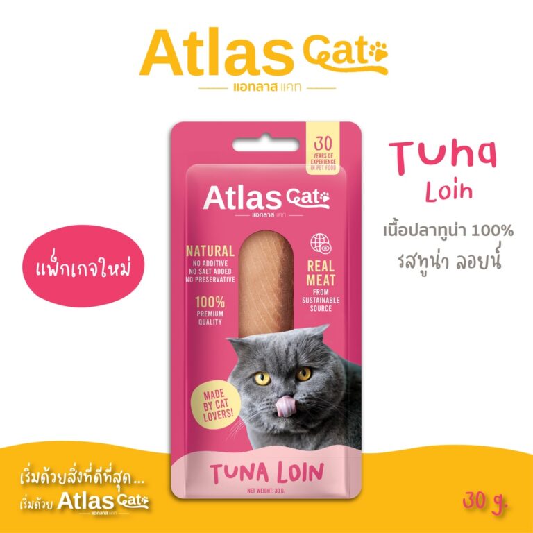 Atlas Cat