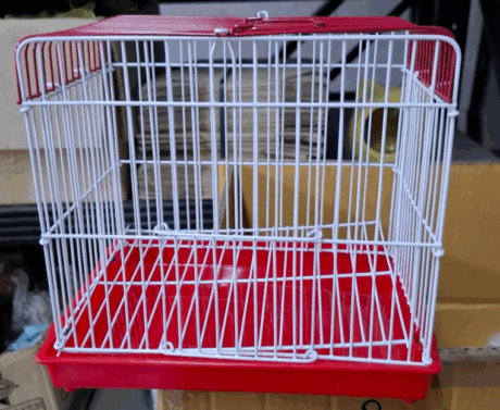SOOS Hamster Cage YHR-P05 - กรงแฮมสเตอร์จิ๋ว (22.5x17x19cm)(68497)