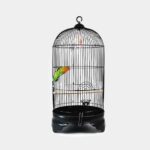 KIAO Bird Cage 9030 – กรงนก ทรงกลม พร้อมอุปกรณ์ ขนาด 75x35cm (66879)
