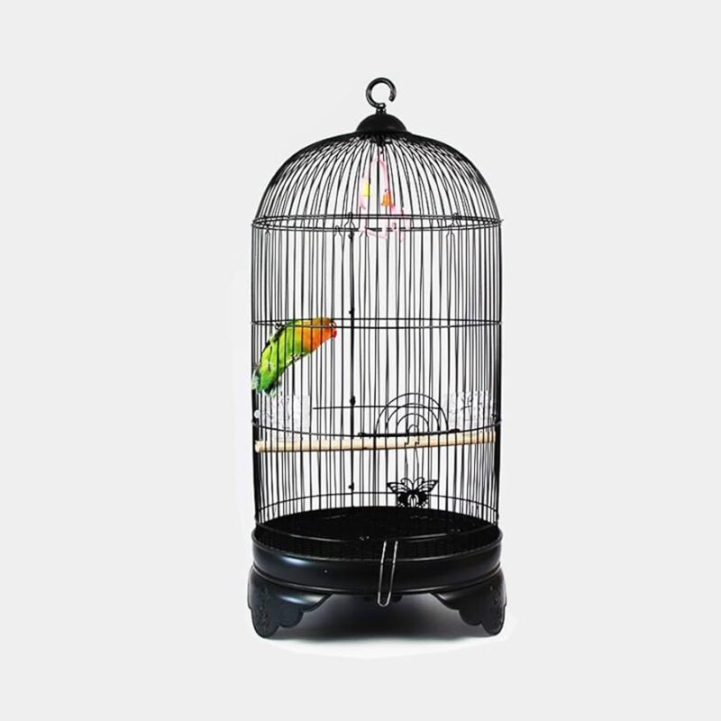 พบคำแนะนำในการเลือกกรงนกที่สมบูรณ์แบบ 7 kiao bird cage 9030