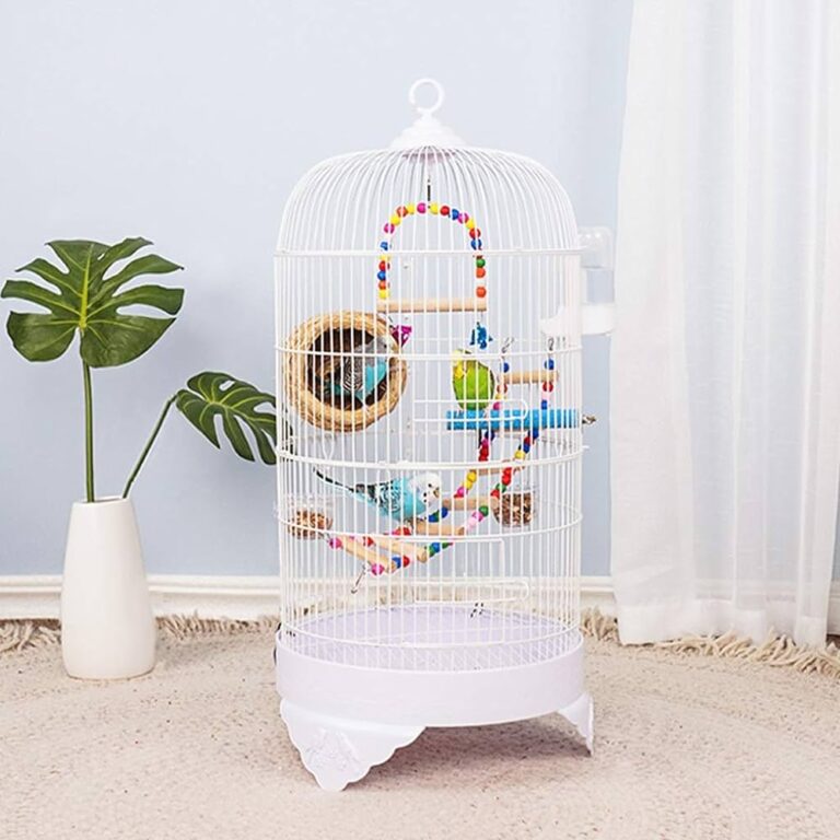kiao-bird-cage-9030