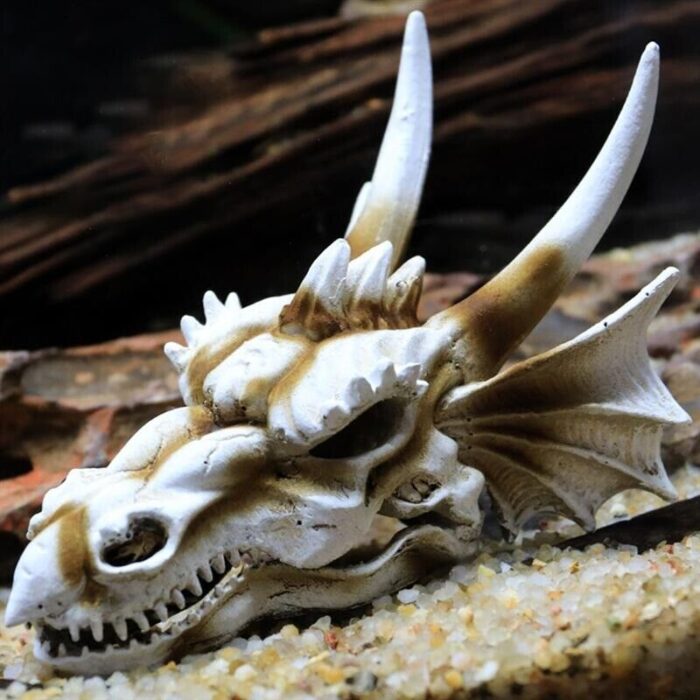Dragon Skeleton - หัวกะโหลกมังกร (14x9x8cm) (314447)