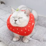 PET EMPIRE