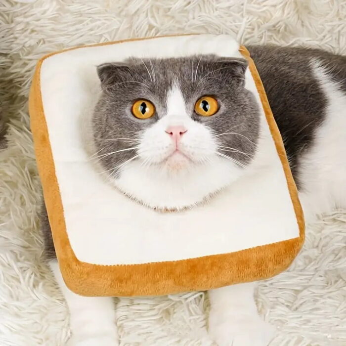 pet empire soft collar bread Pet Soft Collar Size S - คอลล่าร์กันเลียแผลแบบผ้านุ่มไซส์ S (80354)