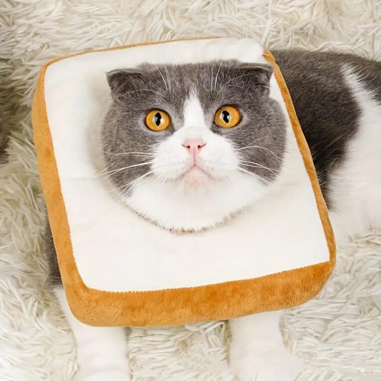 pet empire soft collar bread