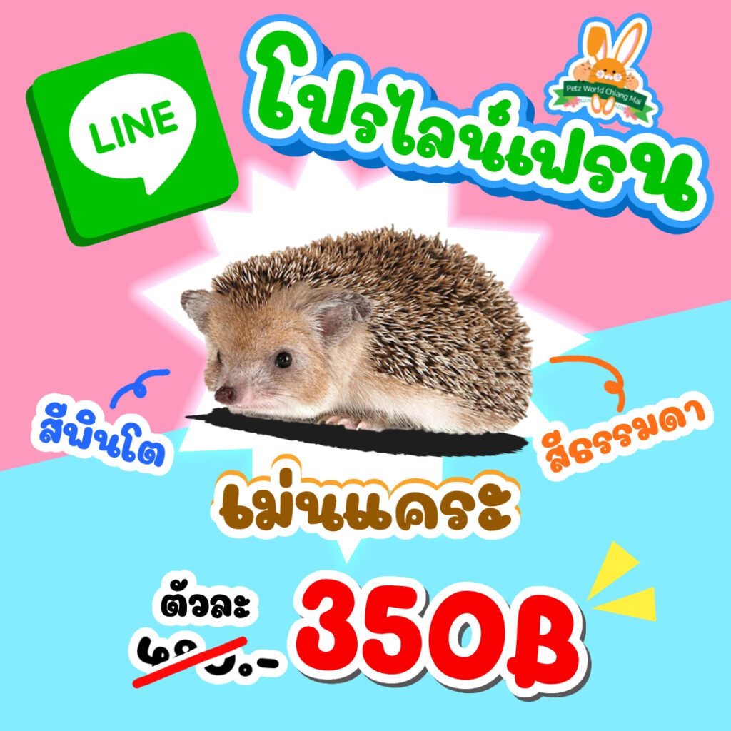 My Image 3