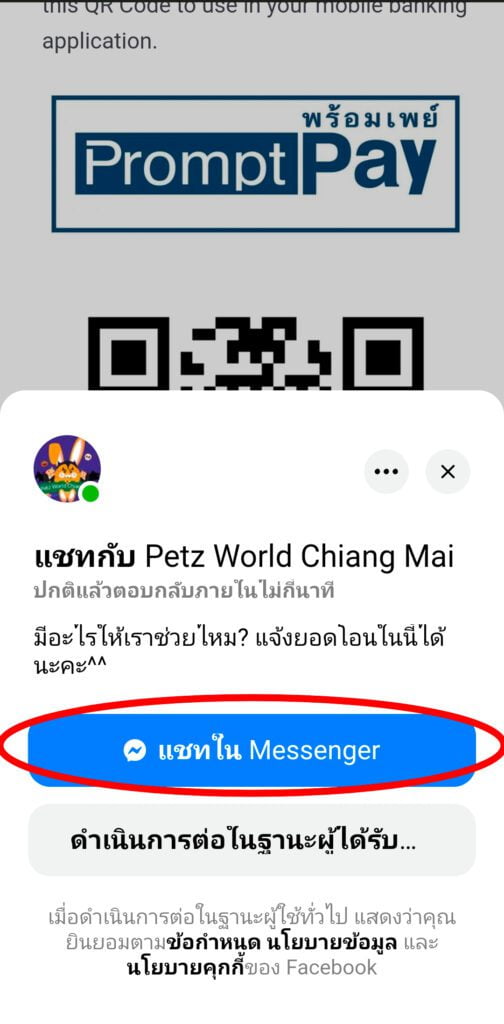 คู่มือสั่งสินค้า / Order Guide 17 Petzworld1 17