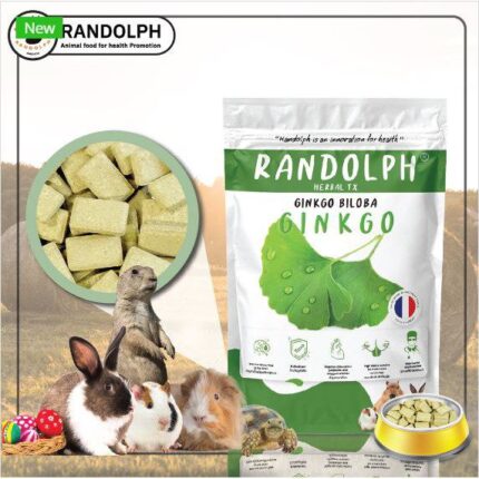 Randolph Herbal TX Ginkgo Biloba Supplement - อาหารเสริมกระต่าย ขนมสมุนไพร สูตรเสริมใบกิงโกะ 70g
