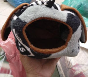 บ้านชูการ์ 172550 Sugar Glider House No4 - บ้านชูการ์ไกลเดอร์ ทรงหูกระต่าย