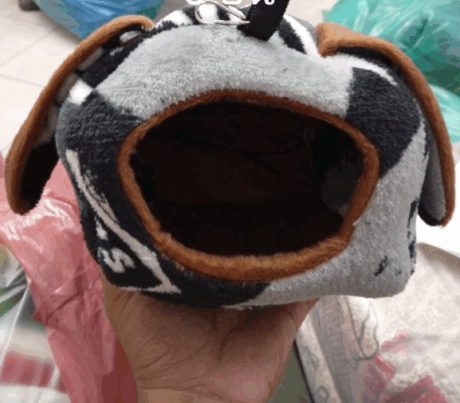 Sugar Glider House No4 - บ้านชูการ์ไกลเดอร์ ทรงหูกระต่าย