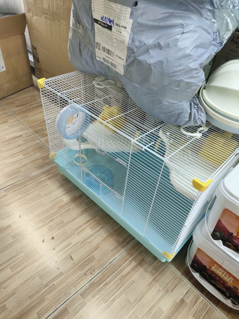 f04e3e82-3bd2-4942-8742-9c0ee7a6bd24