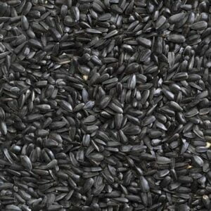 Black Sunflower 2J - เมล็ดทานตะวันดำ 2J ตรามือ 1kg (172918)