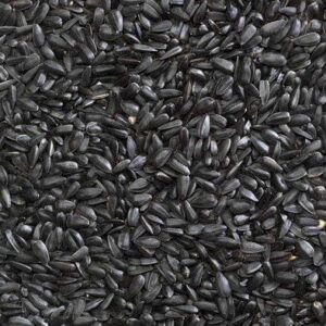 172918 Black Sunflower 2J - เมล็ดทานตะวันดำ 2J ตรามือ 1kg (172918)